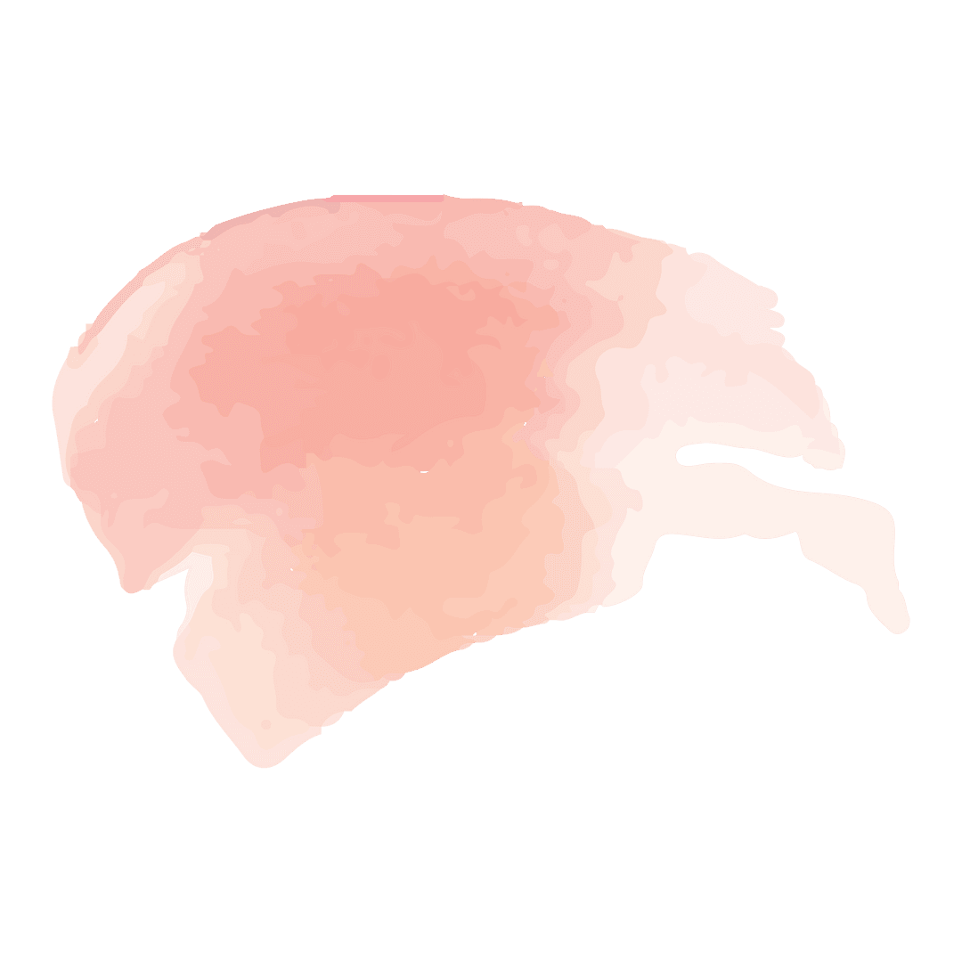 Creative pink abstract shape on transparent background