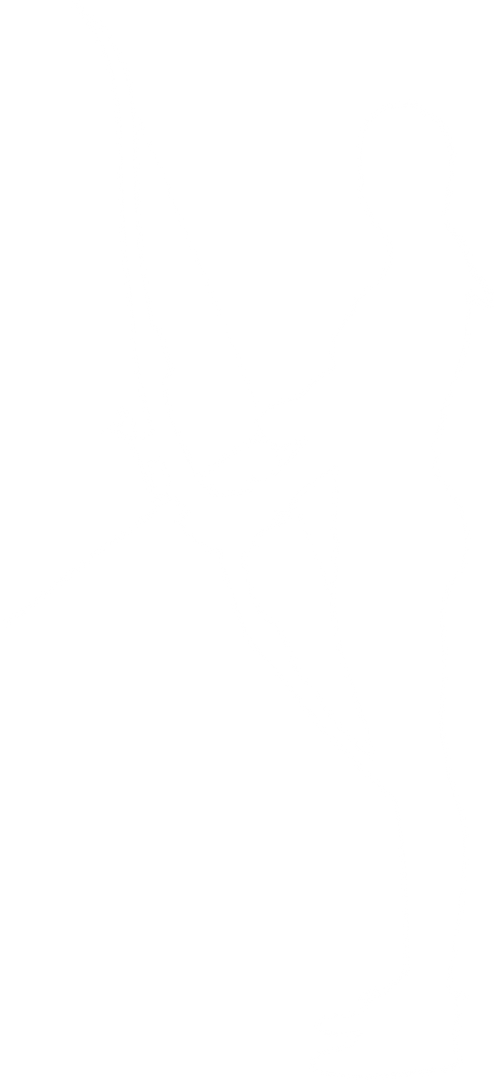 Transparent Silhouette of Female Archer with Bow and Arrow - Download Free Stock Images Pikwizard.com