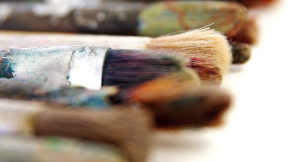 Close-up of Paintbrushes with Colorful Bristles on White Surface - Free Images, Stock Photos and Pictures on Pikwizard.com