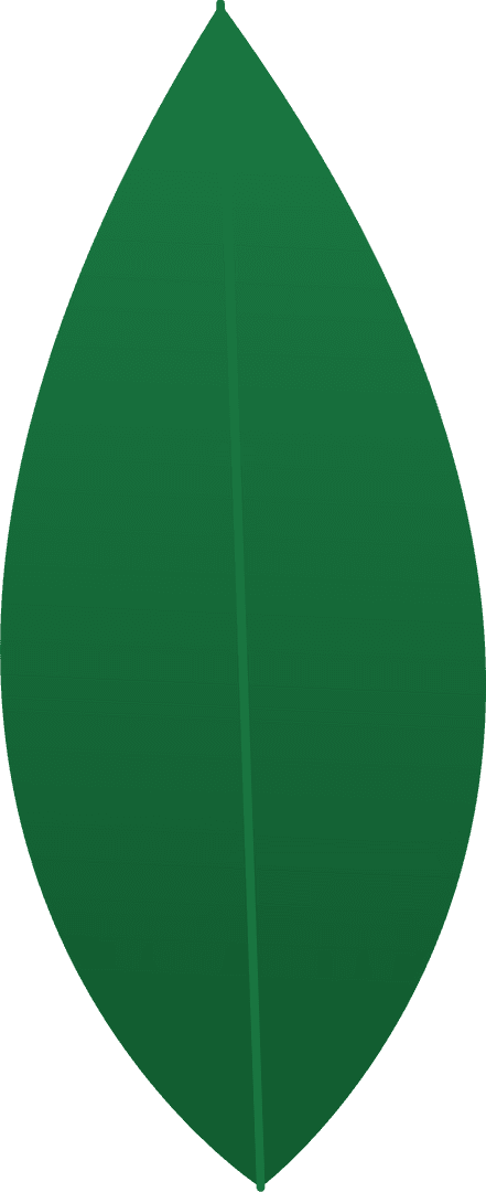 Stylized Green Leaf with Central Vein on Transparent Background