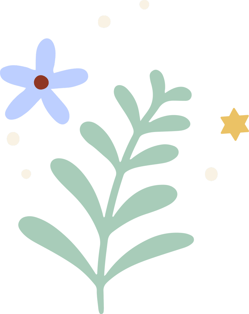Minimalist Transparent Floral and Starry Vector Design