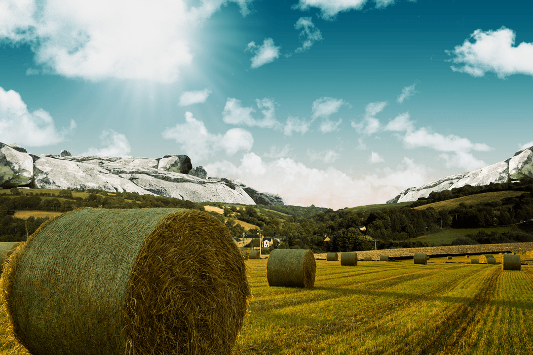 Transparent Fields with Bale Hay and Hills Digital Art