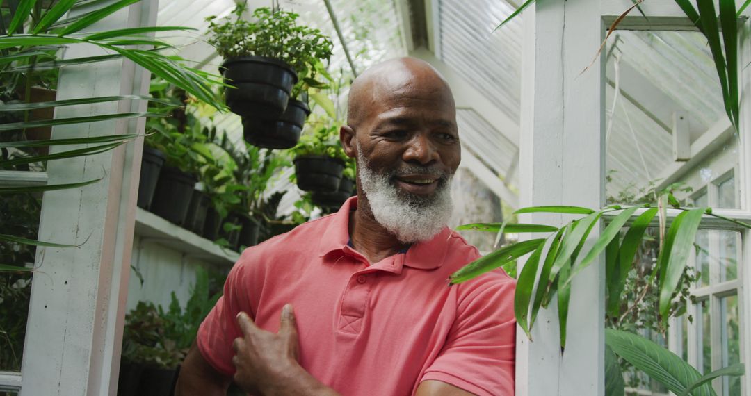 African American Man Tending to Plants in Greenhouse - Free Images, Stock Photos and Pictures on Pikwizard.com