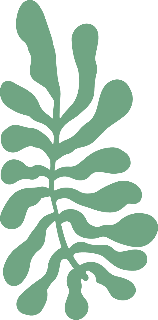 Abstract Green Leaf Design on Transparent Background