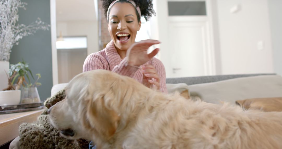 Happy biracial woman petting dog at home - Free Images, Stock Photos and Pictures on Pikwizard.com