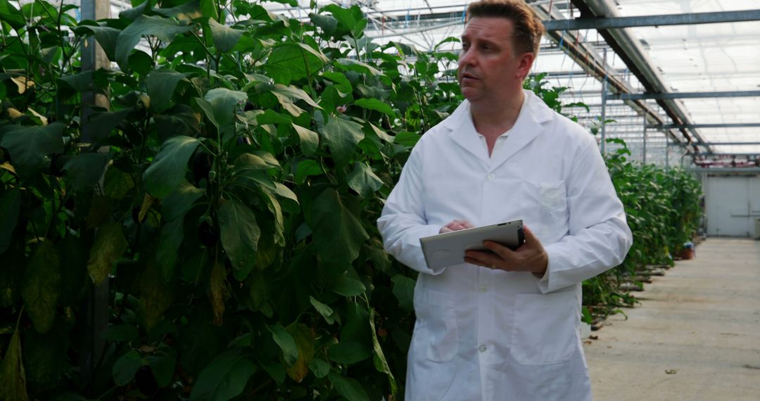 Scientist Monitoring Plant Growth in Greenhouse Using Tablet