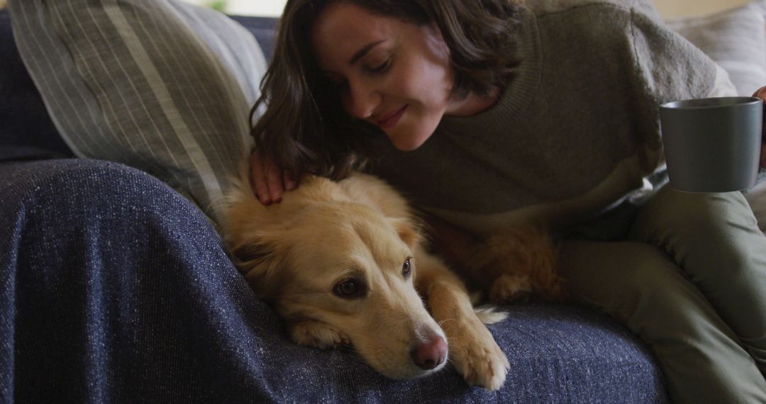 Woman Comforting Sad Dog on Sofa - Free Images, Stock Photos and Pictures on Pikwizard.com