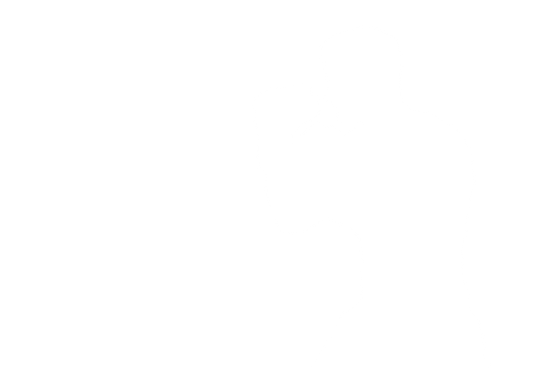 Silhouette of Male Boxer with Gloves on Transparent Background - Download Free Stock Images Pikwizard.com