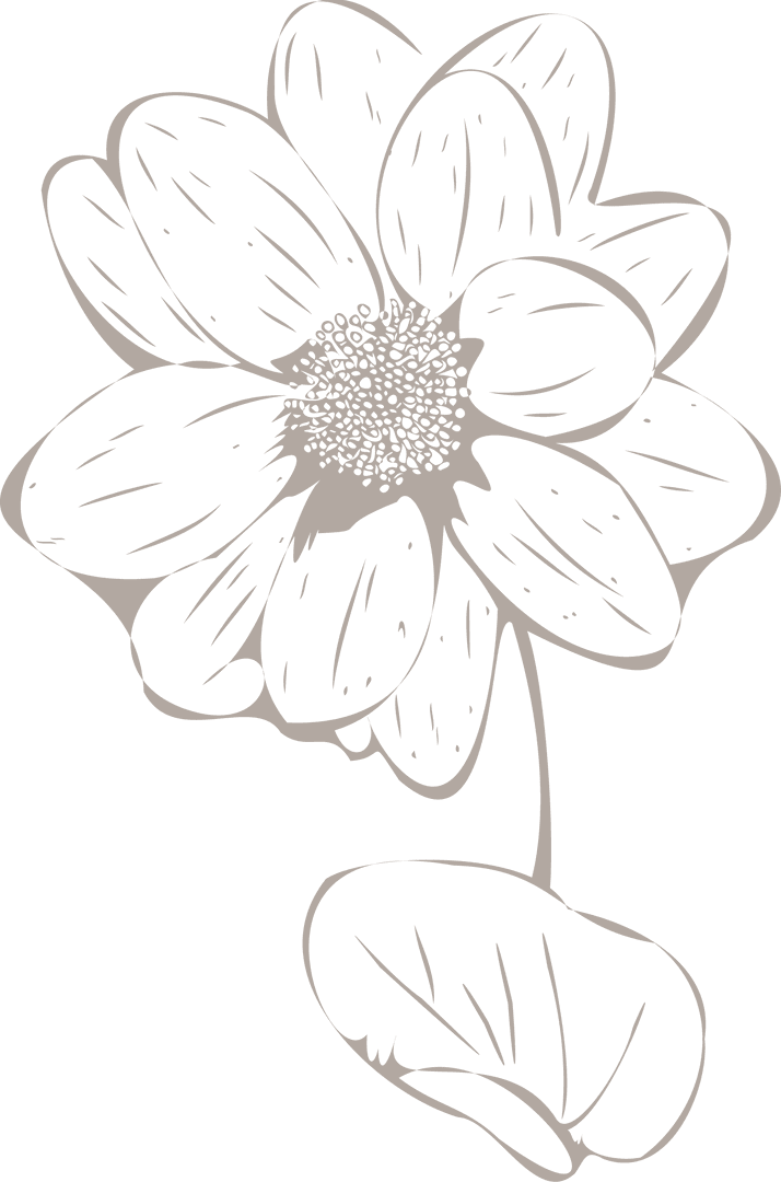 Line-Art Flower Illustration with Transparent Effect