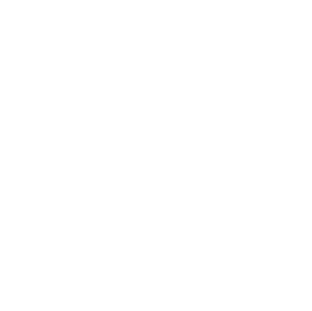 Intricate White Cobweb Design on Transparent Background - Download Free Stock Images Pikwizard.com