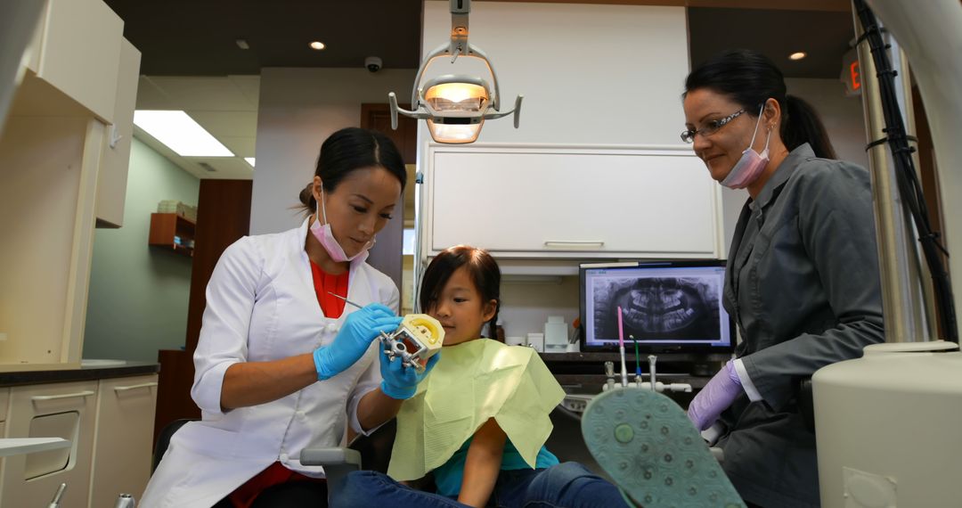 Pediatric Dentist Teaching Child About Oral Care - Free Images, Stock Photos and Pictures on Pikwizard.com