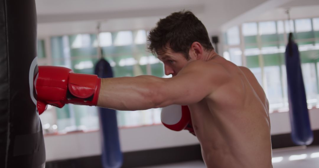 Determined Boxer Punching Heavy Bag in Gym - Free Images, Stock Photos and Pictures on Pikwizard.com