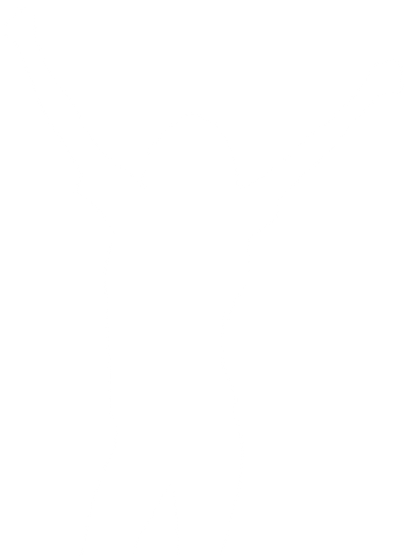 Silhouette of Woman with Raised Hands Transparent PNG Excitement - Download Free Stock Images Pikwizard.com