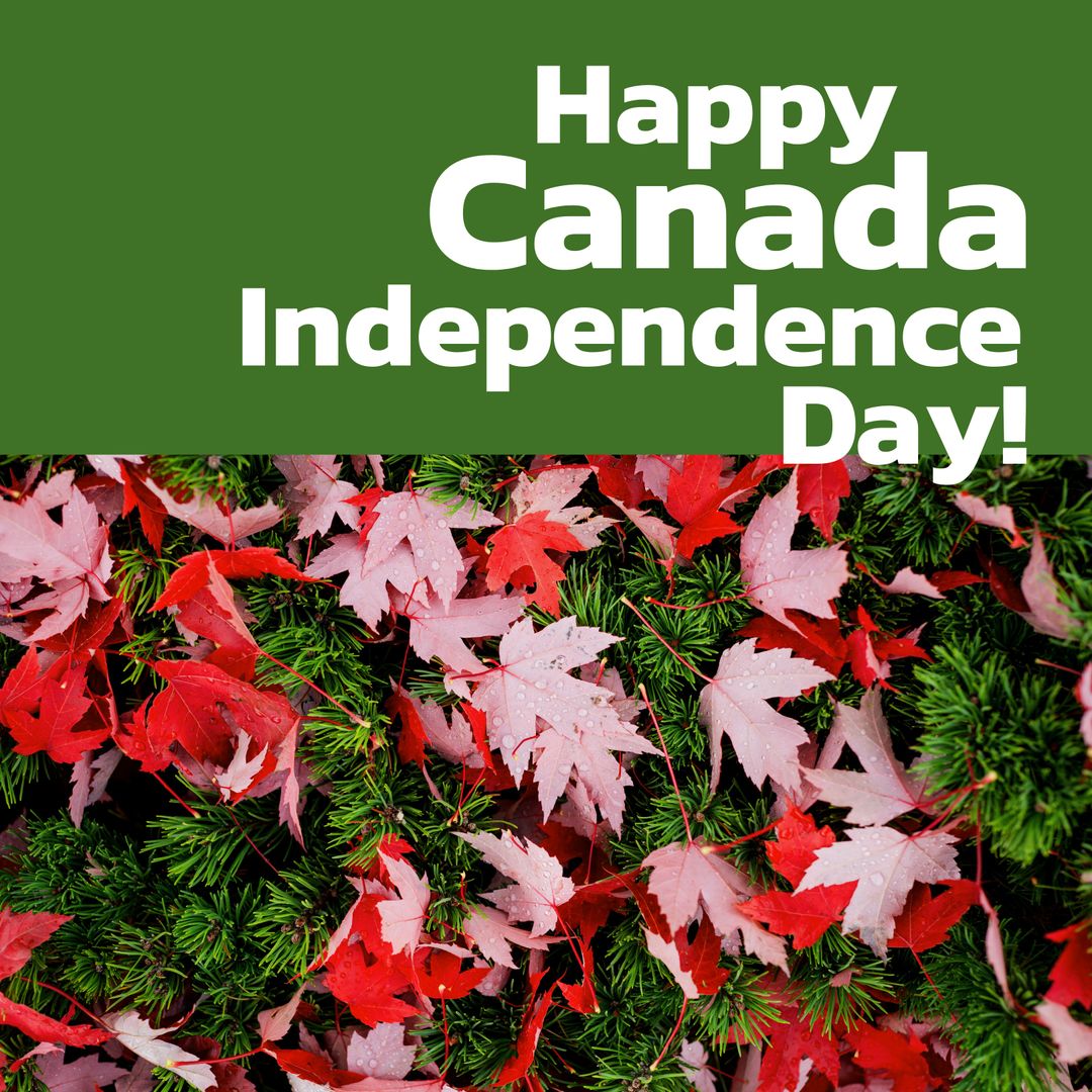 Canada Independence Day Celebration with Maple Leaves and Pine Needles