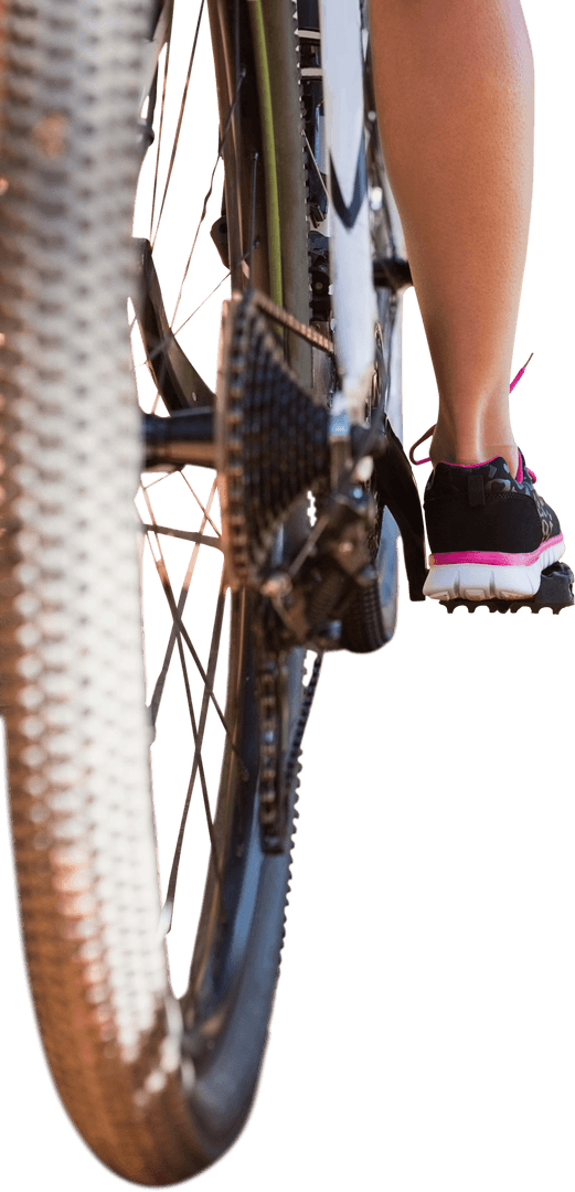 Transparent View Low Section Rhythmic Pedaling on Mountain Bike