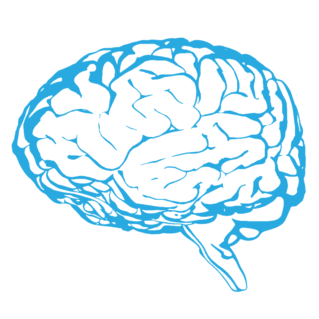 Blue Digital Brain on Transparent Background Materializes Human Thought