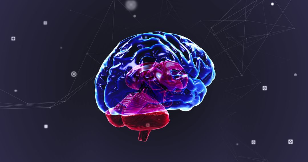 3D Glowing Human Brain with Digital Connections