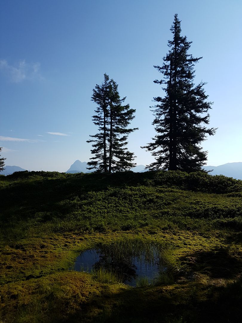 Tranquil Mountain Landscape with Evergreen Trees and Reflective Pond - Free Images, Stock Photos and Pictures on Pikwizard.com