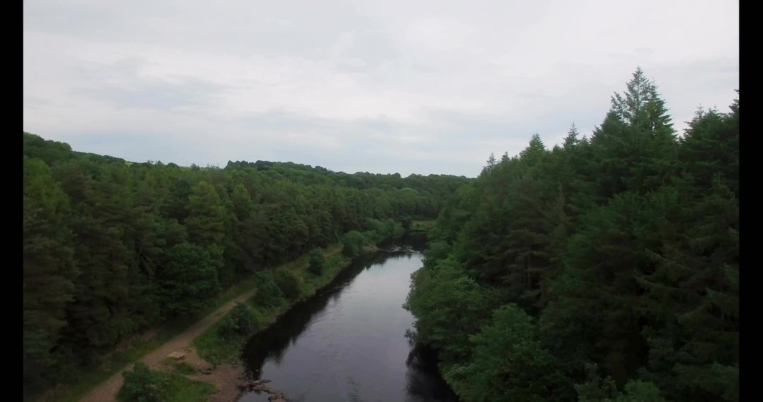 Tranquil River Through Lush Forest Under Overcast Skies