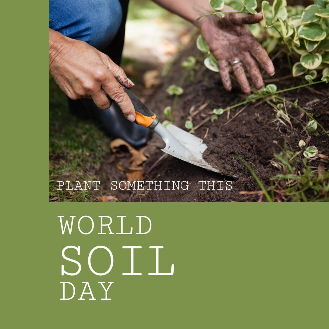 Gardener Cultivating Plant on World Soil Day