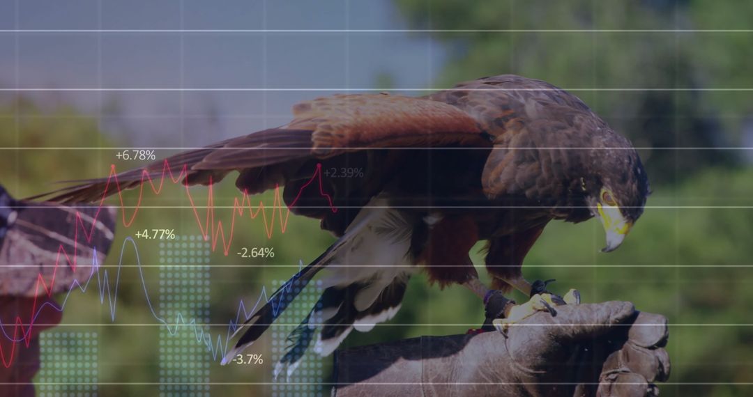 Bird of Prey with Financial Chart: Intelligence and Precision