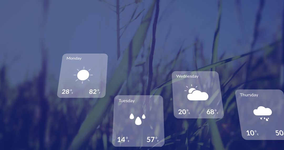 Digital Weather Forecast Overlay on Grass Background