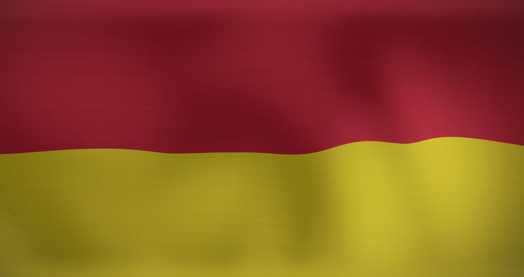 Lifeguard Flag Waving at Beach