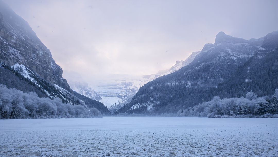 Frozen Alpine Valley Leading to Glacier at Dawn with Snowfall and Misty Pine Forest