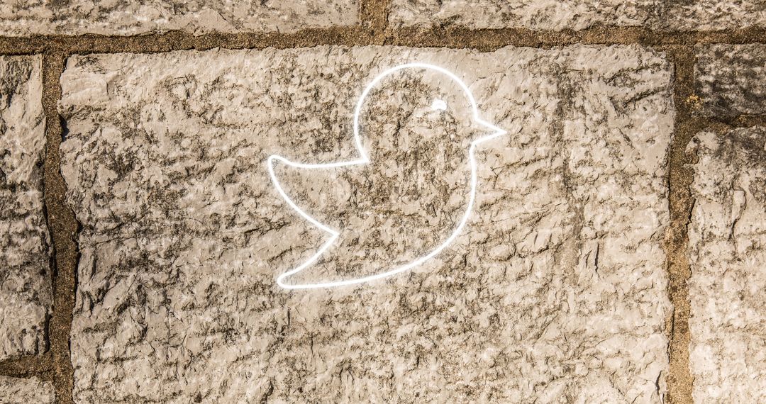 Glowing Neon Bird Icon on Brick Wall - Social Media Theme - Free Images, Stock Photos and Pictures on Pikwizard.com