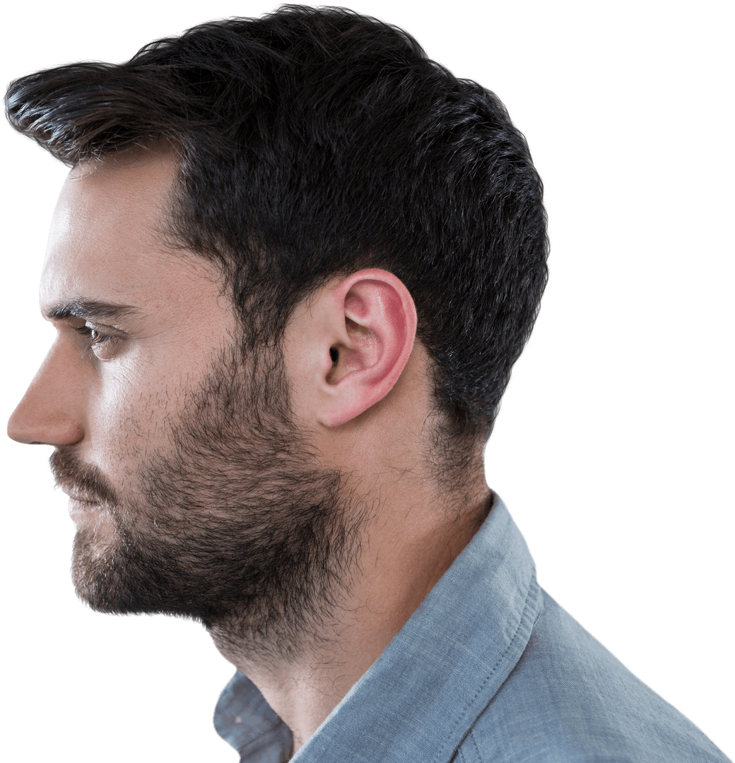 Transparent Profile of Composed Man with Beard Looking Away
