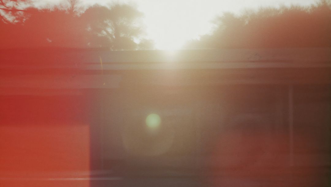 Sunlit Abstract with Lens Flare and Red Burst of Nature