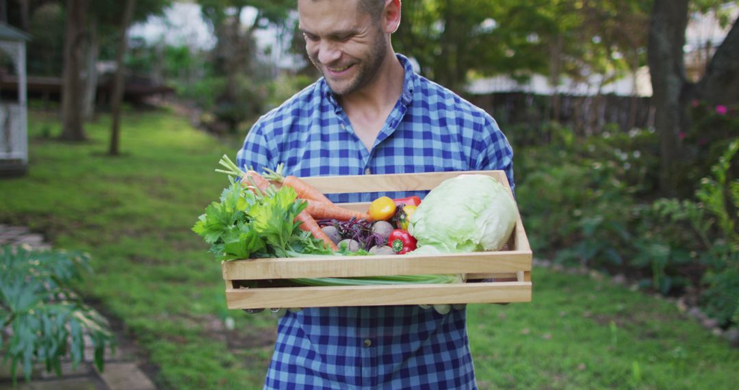 Smiling caucasian man standing in garden holding box of vegetables - Free Images, Stock Photos and Pictures on Pikwizard.com