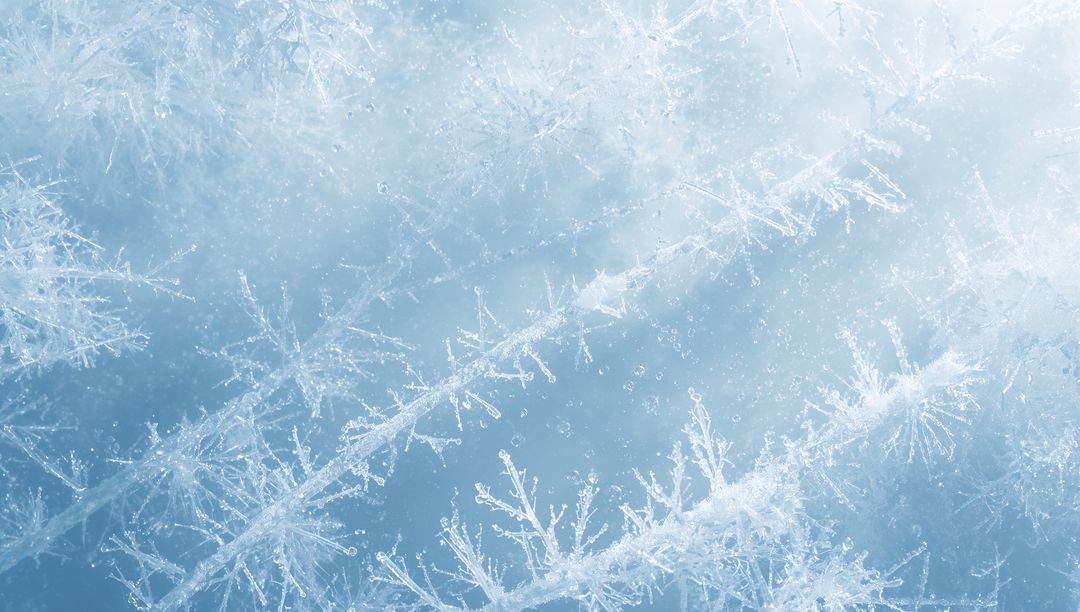 Macro Frost Crystals Forming on Glass with Dendritic Hoarfrost Patterns