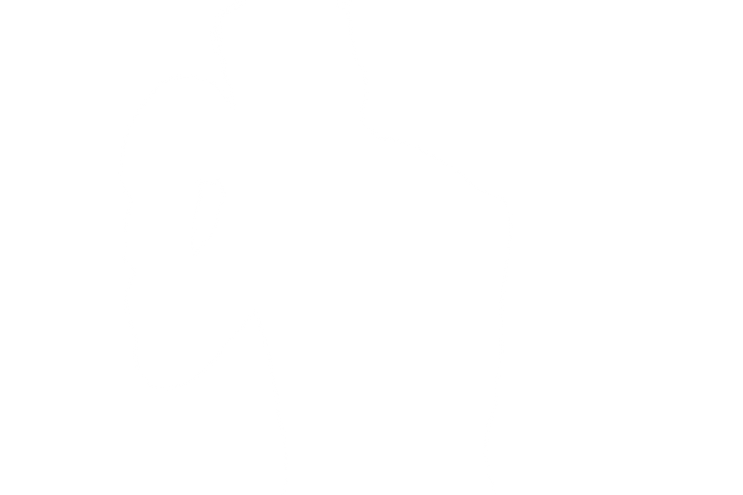 Silhouette Of Boxer Ready To Fight With Gloves On Transparent Background - Download Free Stock Images Pikwizard.com