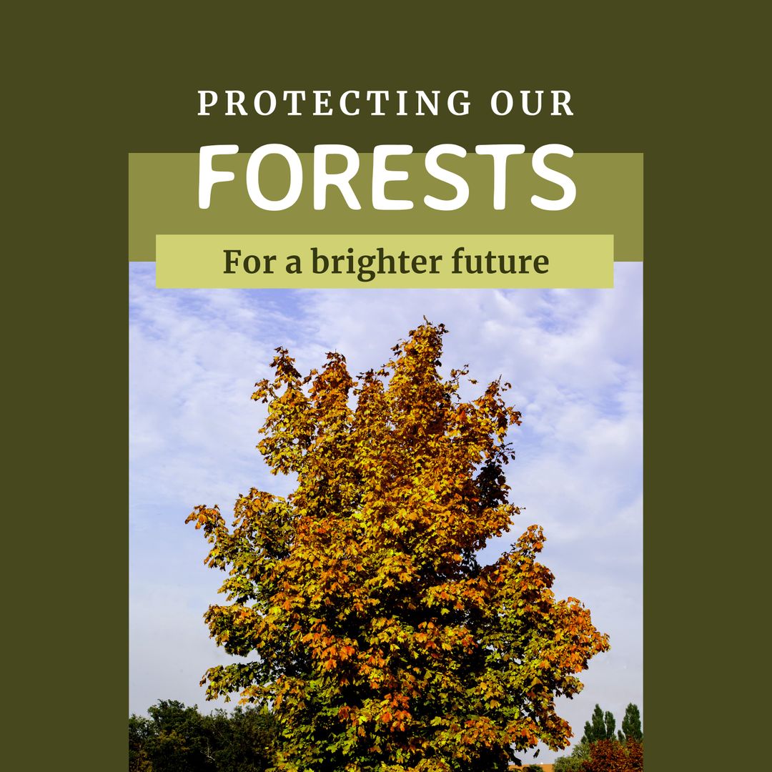 Autumn Tree with Conservation Message in Forest Setting - Download Free Stock Images Pikwizard.com