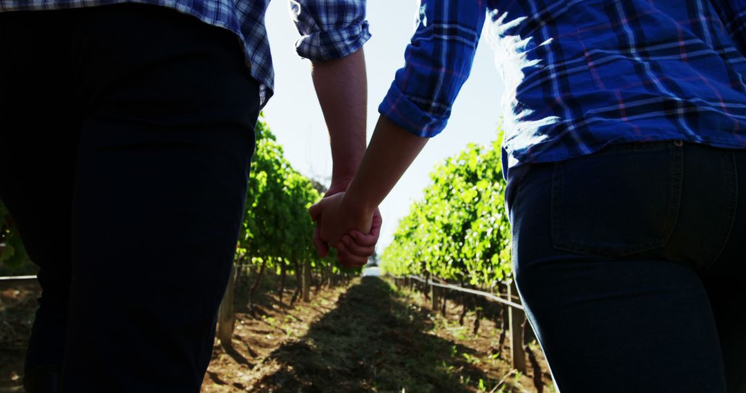 Couple Holding Hands Walking Through Vineyards - Free Images, Stock Photos and Pictures on Pikwizard.com