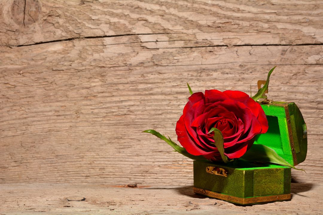 Vibrant Red Rose in Green Velvet Jewelry Box on Wooden Background - Free Images, Stock Photos and Pictures on Pikwizard.com