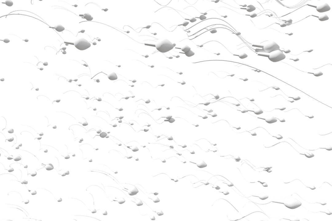 Transparent Swimming Sperm Cells Movement