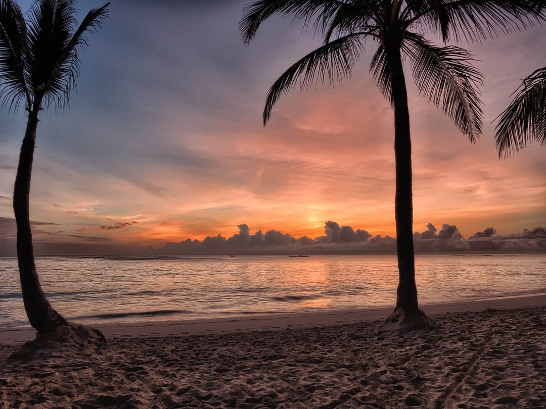 Sunrise Over Tropical Beach with Palm Trees and Calm Ocean