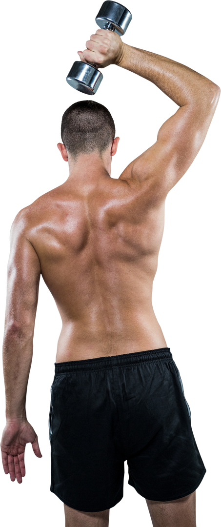 Transparent Rear View of Shirtless Athlete Exercising with Dumbbell - Download Free Stock Images Pikwizard.com