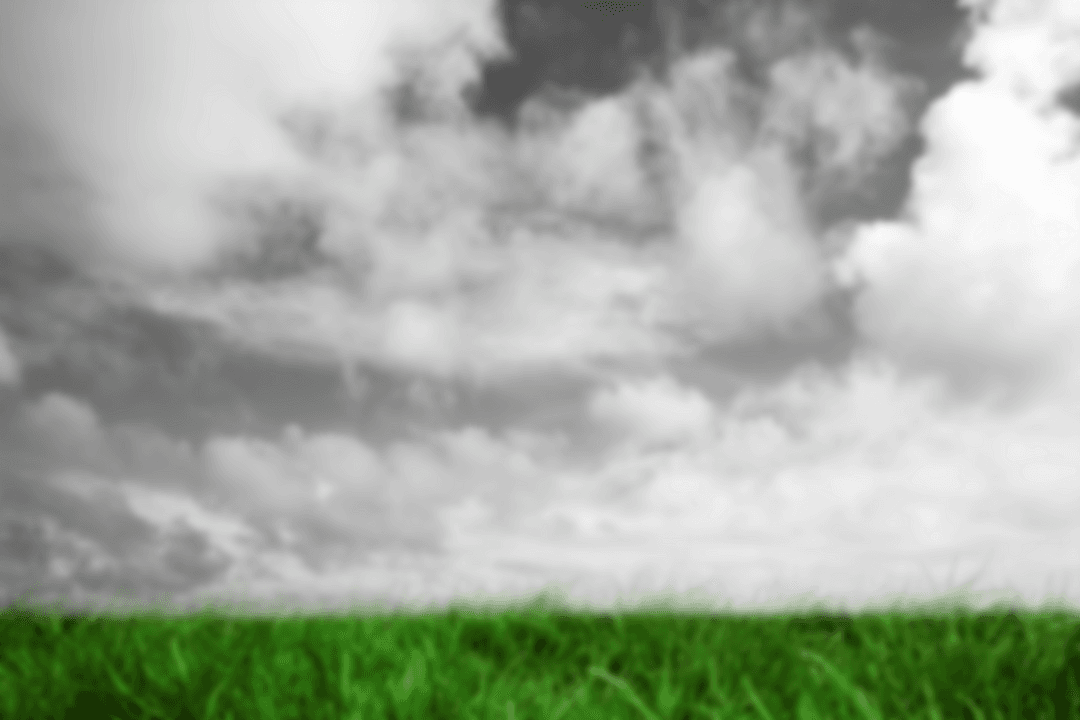 Transparent Sky with Green Grass Featuring Clouds Nature Concept