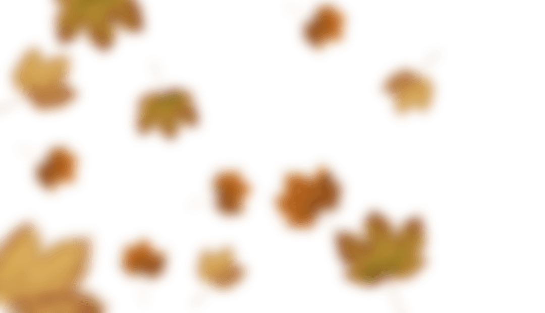 Colorful Autumn Maple Leaves on Transparent Background