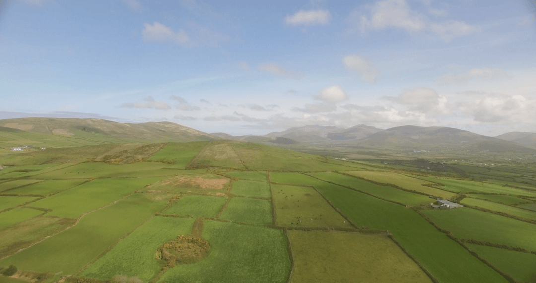 Transparent Lanscape of Lush Green Farmland Against Open Sky
