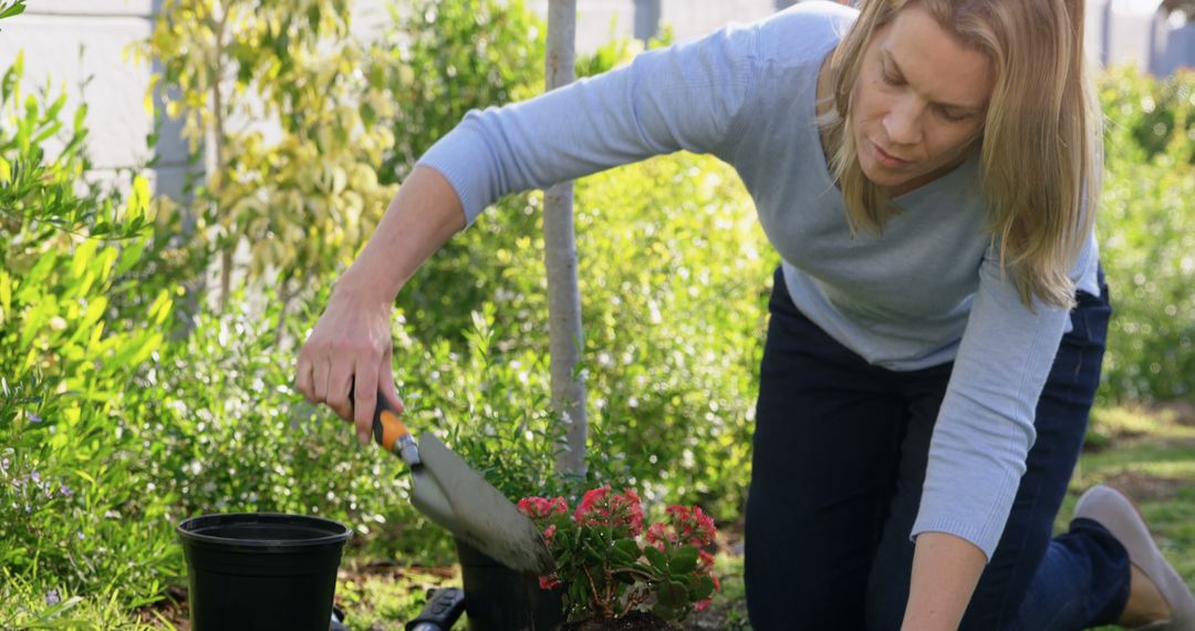 Middle-aged Woman Gardening with Flower Pots in Backyard - Free Images, Stock Photos and Pictures on Pikwizard.com