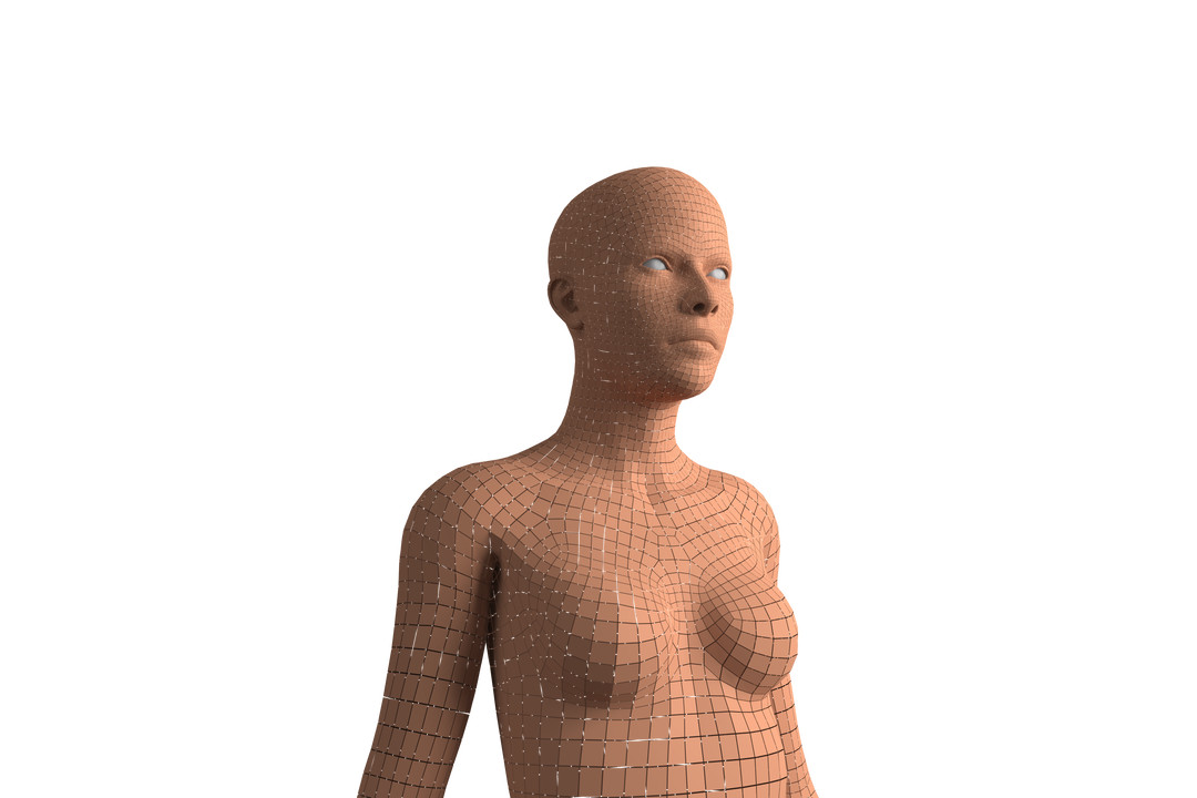 Digital Illustration of Human Model on Transparent Background - Download Free Stock Images Pikwizard.com