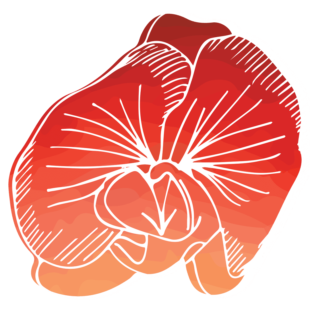 Transparent Red Flower Drawing on Transparent Background