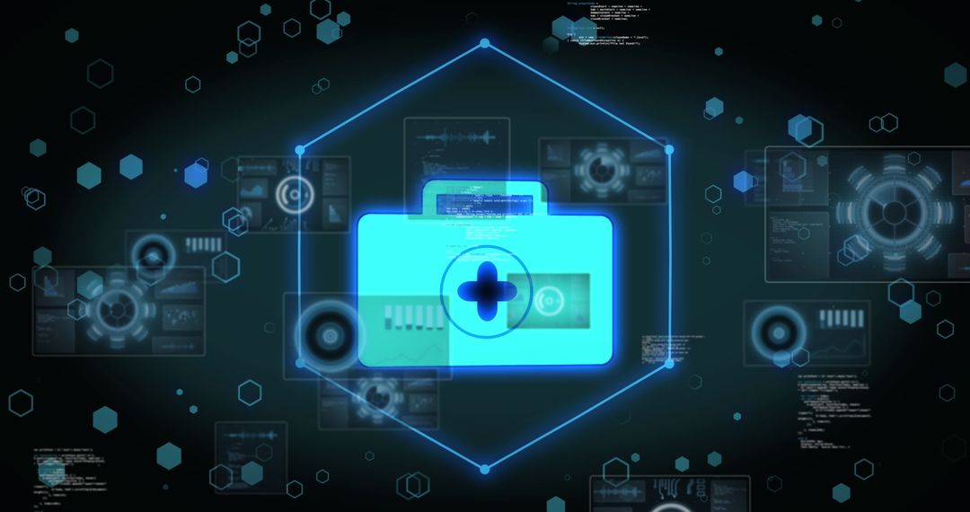 Digital Healthcare Data Interface Concept