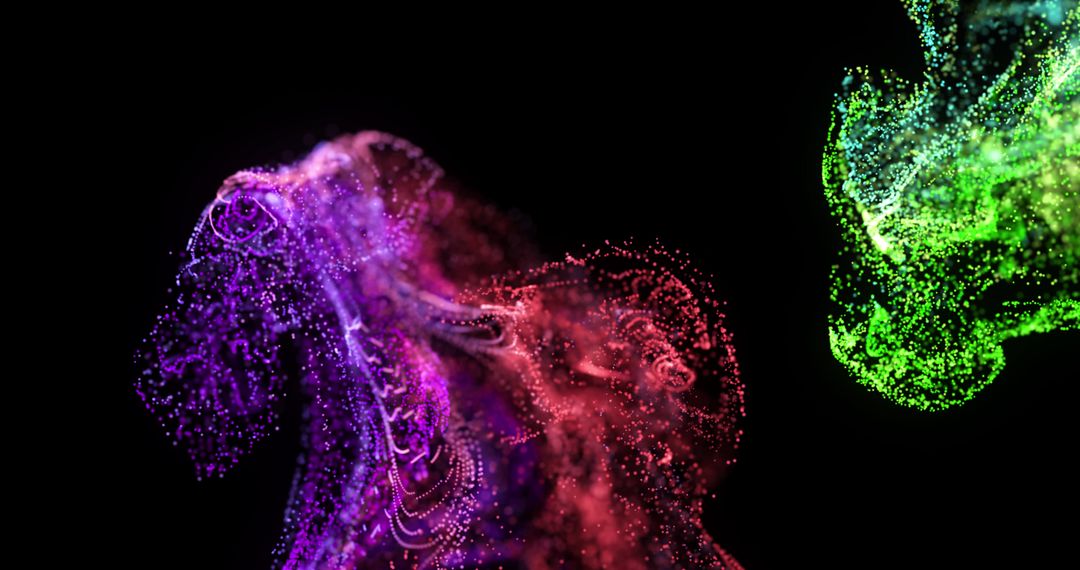 Colorful Particle Clouds Against Black Background