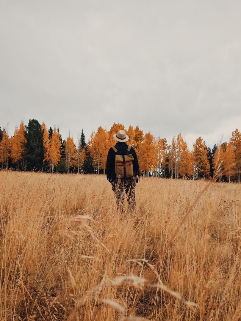 Person Hiking in Autumn Meadow with Golden Trees - Free Images, Stock Photos and Pictures on Pikwizard.com