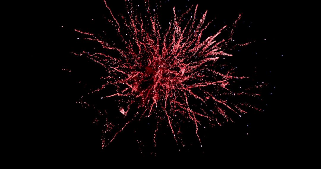 Bright Red Firework Burst in Night Sky Celebration
